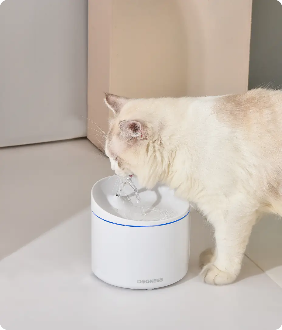 Dogness Water Bowl